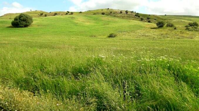 uploaded-image-seydisehirde-konaklama-secenekleri-1697806343210